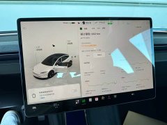 Tesla Model 3 Edition - фото 5