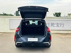 BMW X3 xDrive25L Luxury Package - фото 7
