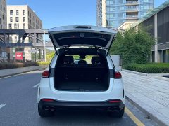 Mercedes-Benz GLE AMG GLE 53 4MATIC Haoye Special Edition - фото 8