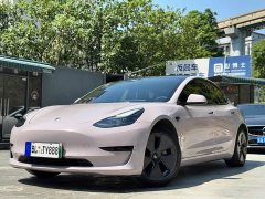 Tesla Model 3 Standard Range Edition 3D6 - фото 10
