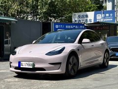 Tesla Model 3 Standard Range Edition 3D6 - фото 2