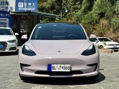 Tesla Model 3 Standard Range Edition 3D6 - фото 3