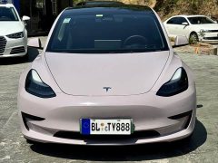 Tesla Model 3 Standard Range Edition 3D6 - фото 4