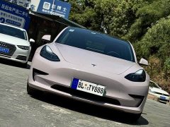 Tesla Model 3 Standard Range Edition 3D6 - фото 5