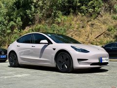 Tesla Model 3 Standard Range Edition 3D6 - фото 6