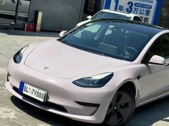 Tesla Model 3 Standard Range Edition 3D6 - фото 9