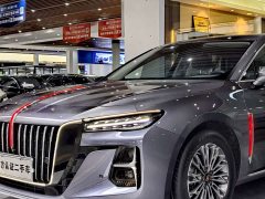 Hongqi H5 2.0T Automatic Intelligent Connected Flag Edition - фото 15