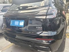 Hongqi HS5 2.0T 2WD Edition - фото 14