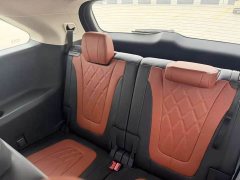 Hongqi HS7 2.0T AWD Edition - фото 8