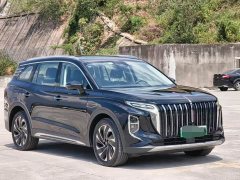 Hongqi HS7 PHEV 2.0T PHEV AWD Edition 6 - фото 4