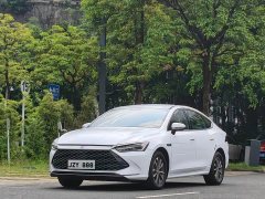BYD PLUS DM-i 55KM Premium Version - фото 1