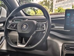 BYD PLUS DM-i 55KM Premium Version - фото 20
