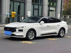 EcoBoost 245 Luxury Version - фото 1