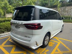 G20 PLUS 2.0T Luxury Edition - фото 5