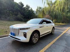 Hongqi E-HS9 690km Edition - фото 1