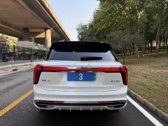 Hongqi E-HS9 690km Edition - фото 10