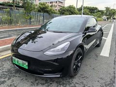 Tesla Model 3 rear-wheel drive version - фото 1