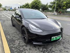 Tesla Model 3 rear-wheel drive version - фото 2