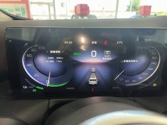 Hongqi HS3 PHEV 125km 200Anniversary Edition - фото 12
