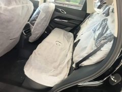 Hongqi HS3 PHEV 125km 200Anniversary Edition - фото 17