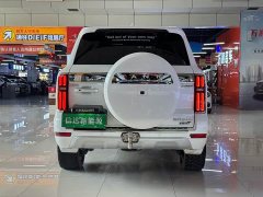 Tank 500 Hi4-T - фото 7