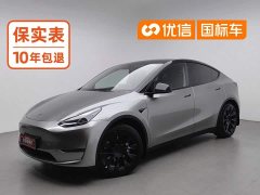 Tesla Model Y Long Range Edition - фото 1