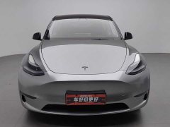 Tesla Model Y Long Range Edition - фото 3
