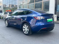 Tesla Model Y Edition - фото 10