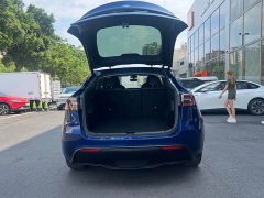 Tesla Model Y Edition - фото 11