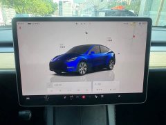 Tesla Model Y Edition - фото 18