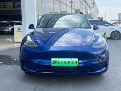Tesla Model Y Edition - фото 3