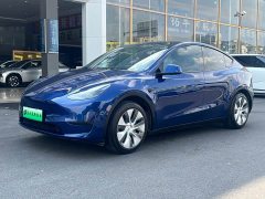Tesla Model Y Edition - фото 4