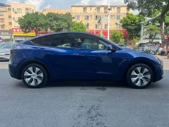 Tesla Model Y Edition - фото 6