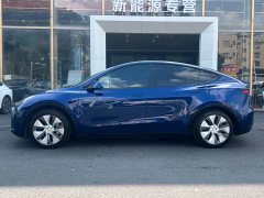 Tesla Model Y Edition - фото 7