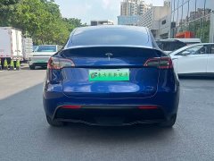 Tesla Model Y Edition - фото 8