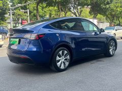 Tesla Model Y Edition - фото 9
