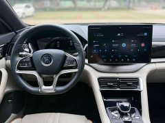 BYD PLUS EV Flagship Version - фото 11