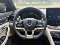 BYD PLUS EV Flagship Version - фото 12