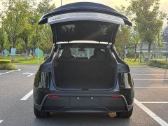 Tesla Model Y Edition - фото 10