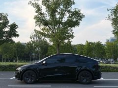 Tesla Model Y Edition - фото 11