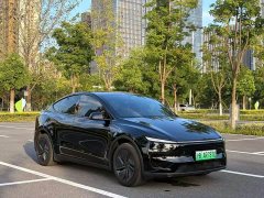 Tesla Model Y Edition - фото 3