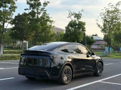 Tesla Model Y Edition - фото 4