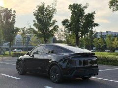 Tesla Model Y Edition - фото 6