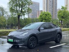 Tesla Model Y Edition - фото 1