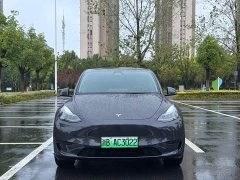 Tesla Model Y Edition - фото 2