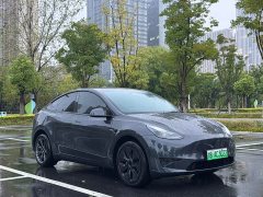Tesla Model Y Edition - фото 3