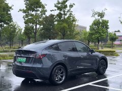 Tesla Model Y Edition - фото 6