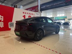 Tesla Model Y Edition - фото 4