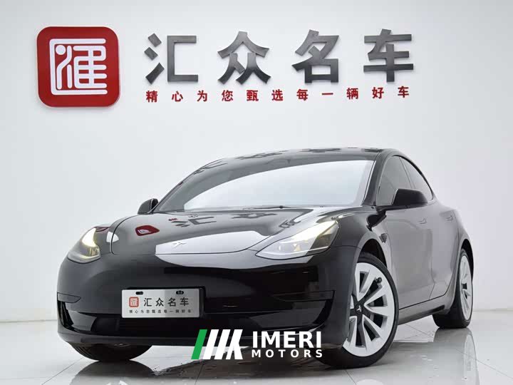 Tesla Model 3 Standard Range Edition 3D6