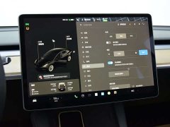 Tesla Model 3 Standard Range Edition 3D6 - фото 10